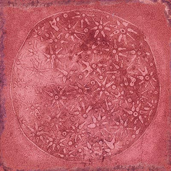 Carlo Granate Brillo 20X20