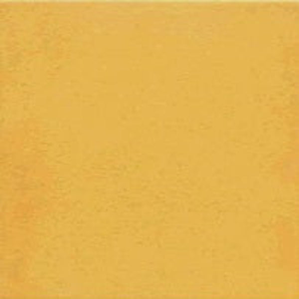 1900 Amarillo 20X20