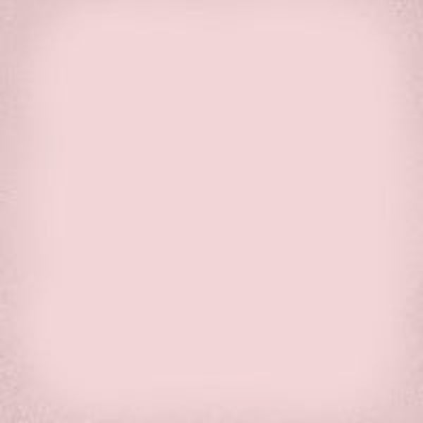 1900 Rosa 20X20