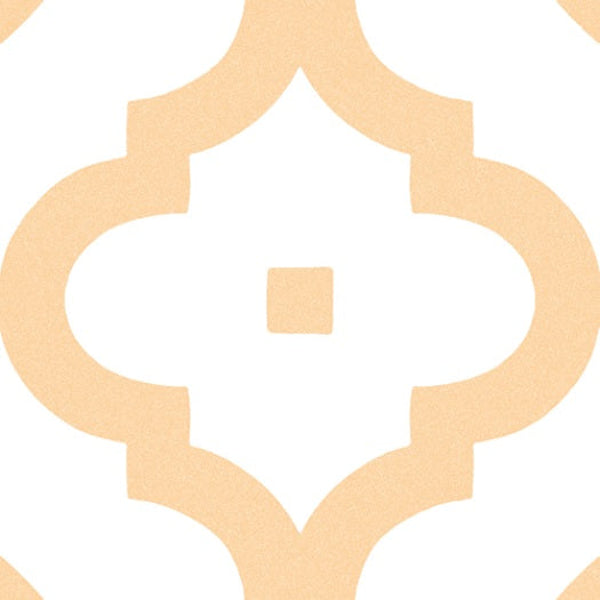 Ladakhi Ocre 20X20