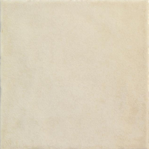 Stucco Arena 20X20