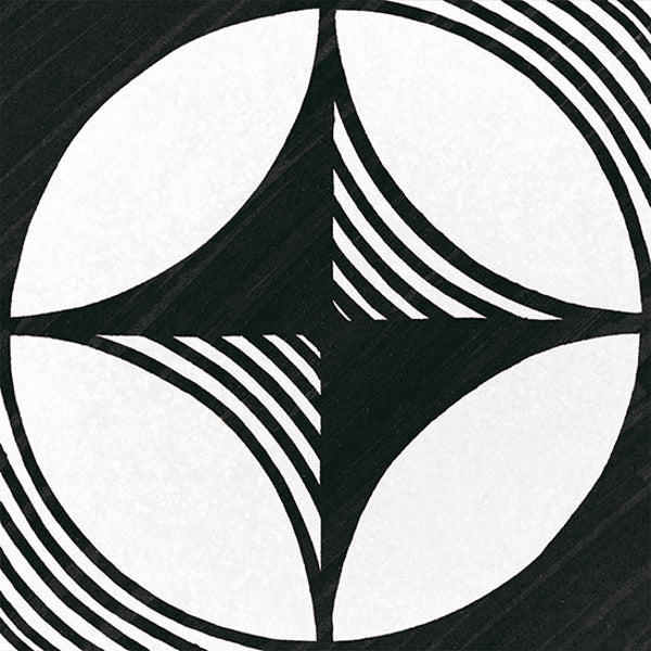 Compass B&W 20X20
